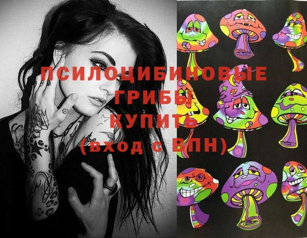 эйфоретик Алексин