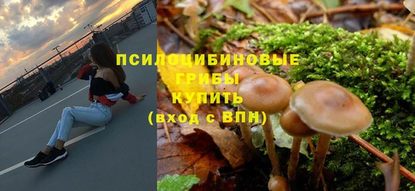 эйфоретик Алексин