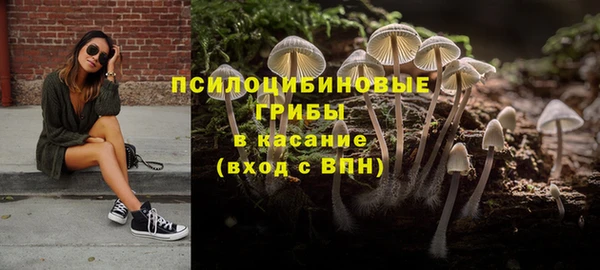 эйфоретик Алексин